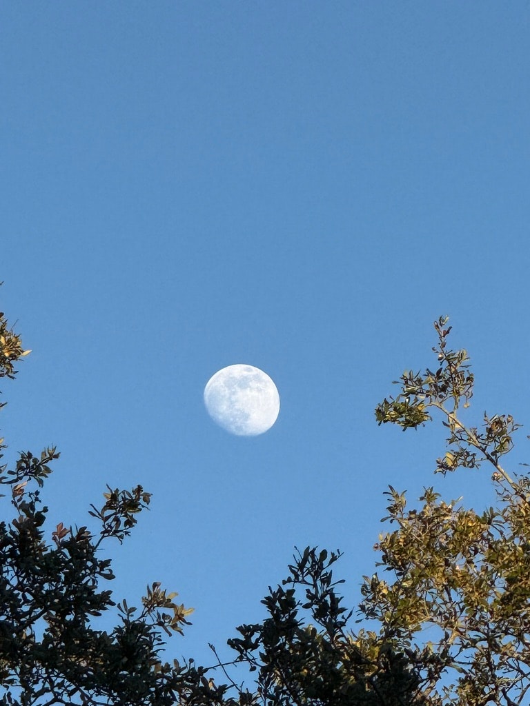 Reaching for the Moon